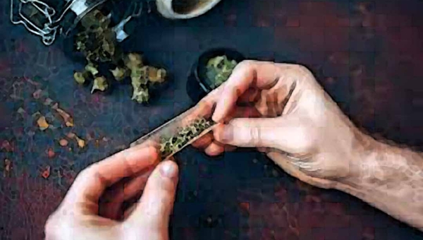 Números mostram que acreano consome mais maconha que cocaína