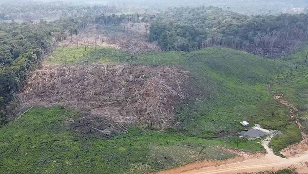 Em 2025, Acre desmatou quase 60 hectares por dia, mostra Mapbiomas