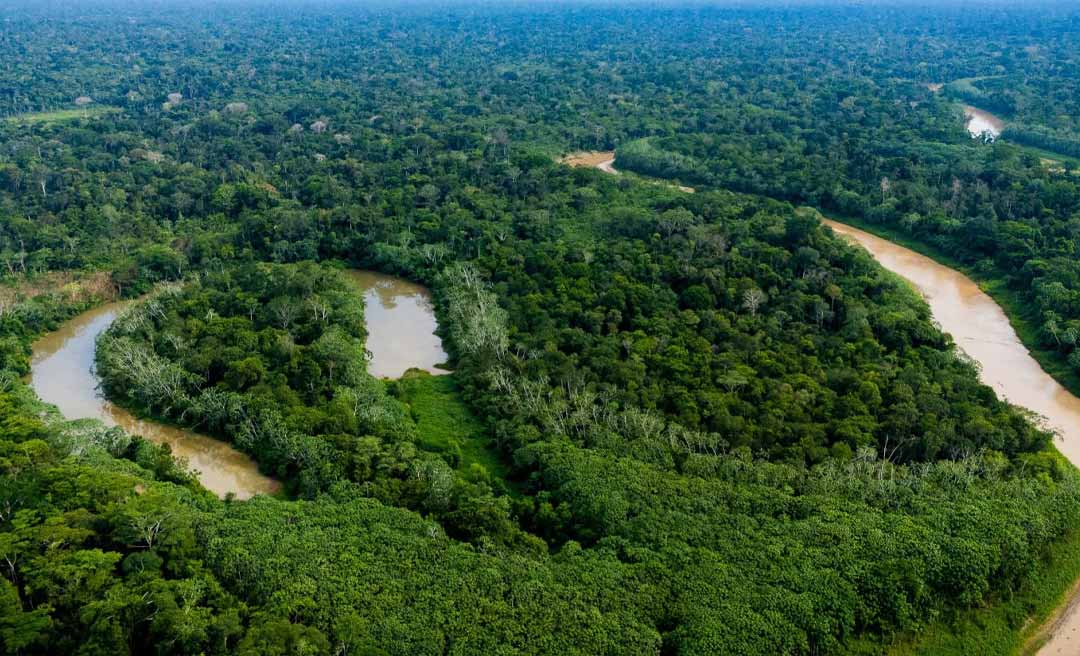 Com apenas 21 focos de calor, Acre lidera ranking nacional de redução de queimadas em 2026