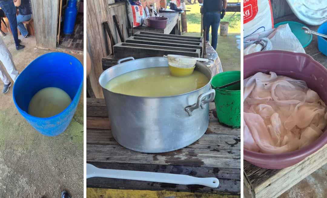 Queijaria clandestina é fechada no Quinari, após operação da Polícia Civil