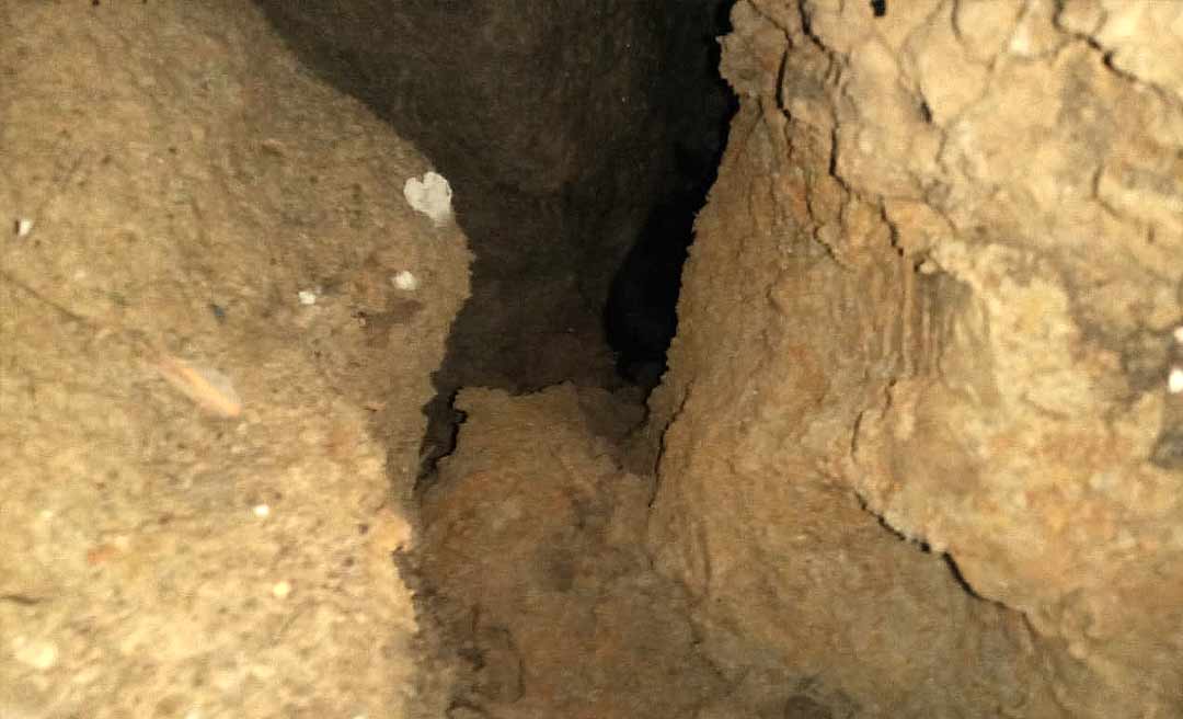 BOMBEIRO 02