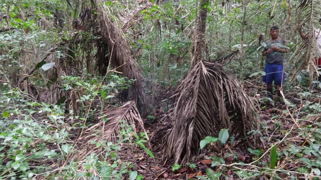 Tapiris abandonados encontrado pelo Grupo de Monitoramento Crédito Grupo de Monitoramento Manxineru2020