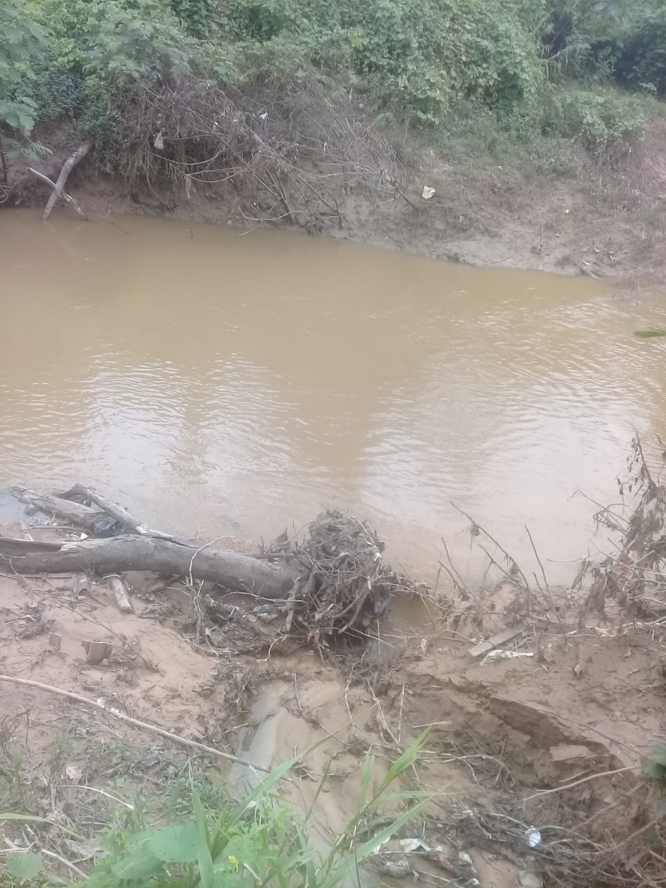 WhatsApp_Image_2022-01-28_at_11.31.02.jpeg