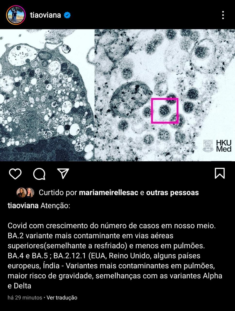 WhatsApp_Image_2022-06-24_at_16.09.25.jpeg