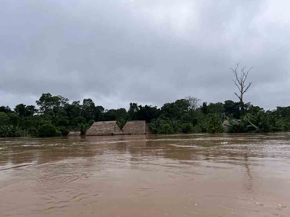 WhatsApp_Image_2024-03-01_at_09.42.50.jpeg