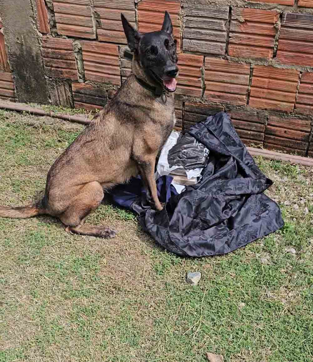 WhatsApp_Image_2024-03-22_at_08.17.32.jpeg