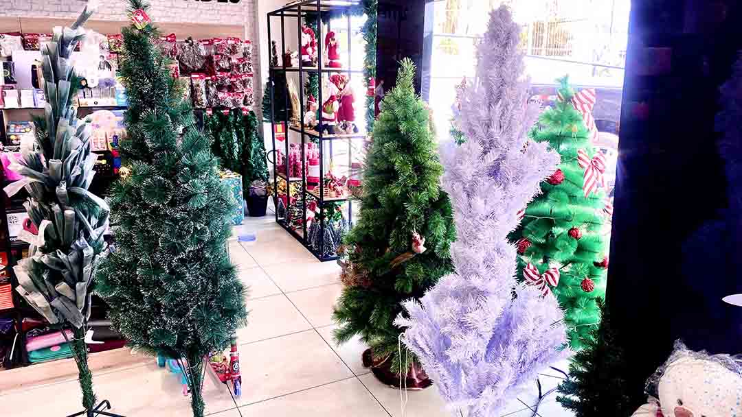 WhatsApp_Image_2024-11-04_at_09.54.37-2.jpeg