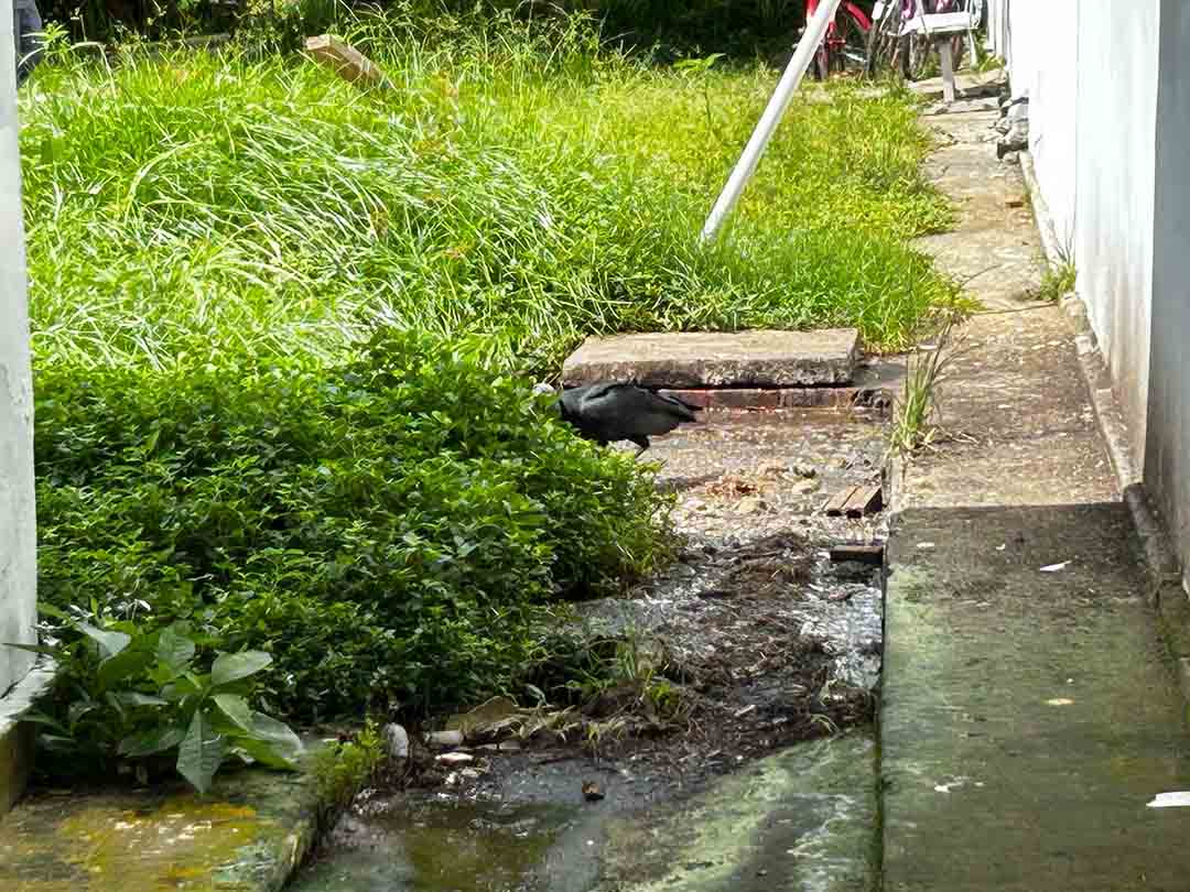 WhatsApp_Image_2025-04-09_at_11.31.22.jpeg