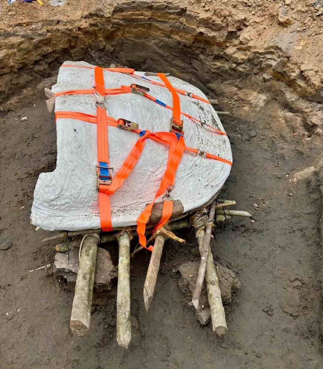 WhatsApp_Image_2025-06-24_at_13.39.25.jpeg