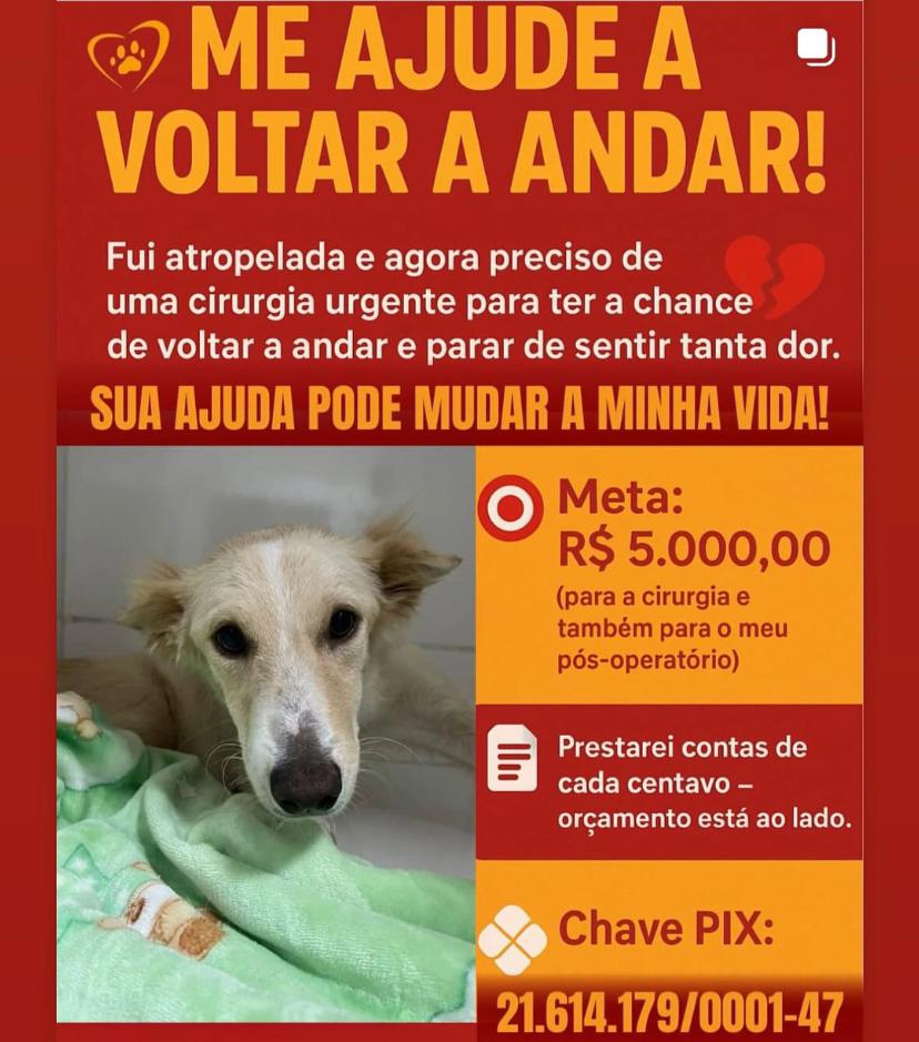 WhatsApp_Image_2025-08-08_at_21.37.32.jpeg