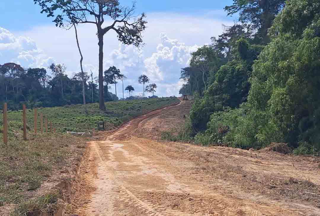 WhatsApp_Image_2025-09-03_at_17.33.21-2.jpeg