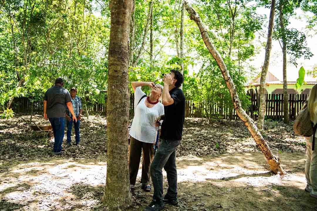 WhatsApp_Image_2025-09-28_at_16.51.33.jpeg